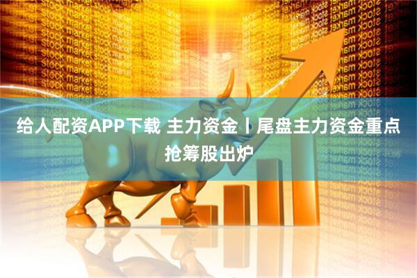 给人配资APP下载 主力资金丨尾盘主力资金重点抢筹股出炉