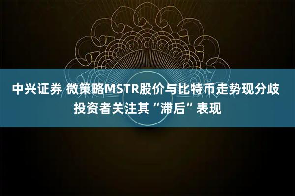 中兴证券 微策略MSTR股价与比特币走势现分歧 投资者关注其“滞后”表现