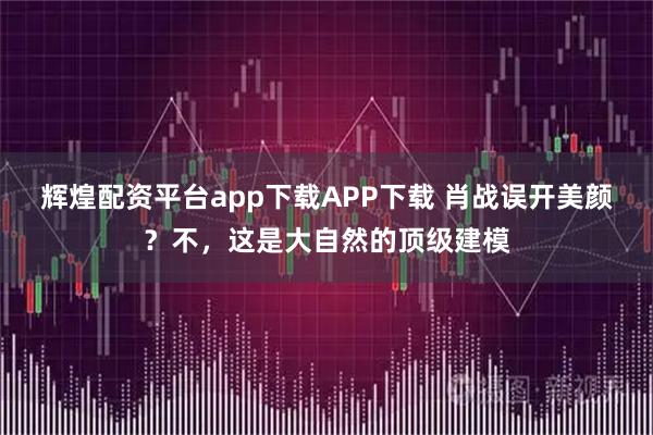 辉煌配资平台app下载APP下载 肖战误开美颜？不，这是大自然的顶级建模