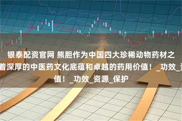 银泰配资官网 熊胆作为中国四大珍稀动物药材之首，承载着深厚的中医药文化底蕴和卓越的药用价值！_功效_资源_保护
