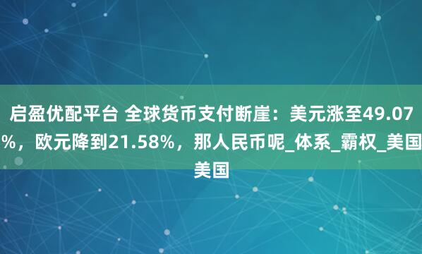 启盈优配平台 全球货币支付断崖：美元涨至49.07%，欧元降到21.58%，那人民币呢_体系_霸权_美国