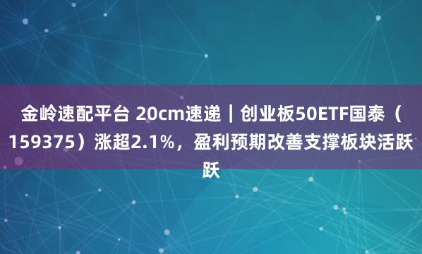 金岭速配平台 20cm速递｜创业板50ETF国泰（159375）涨超2.1%，盈利预期改善支撑板块活跃