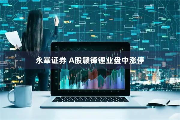 永崋证券 A股赣锋锂业盘中涨停